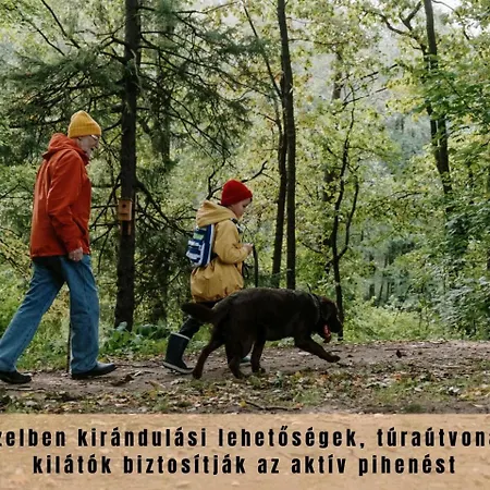 Estina House Case de vacanță Balatonboglár