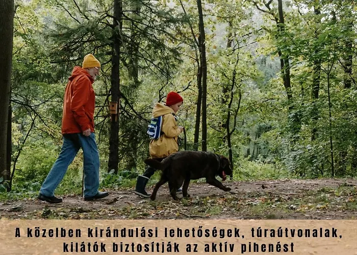 Estina House Case de vacanță Balatonboglár