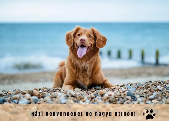 Estina House * Balatonboglár